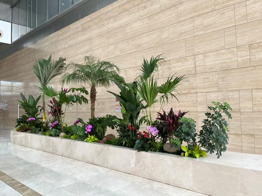 海曙盆景出租价格大比拼，哪家更实惠？